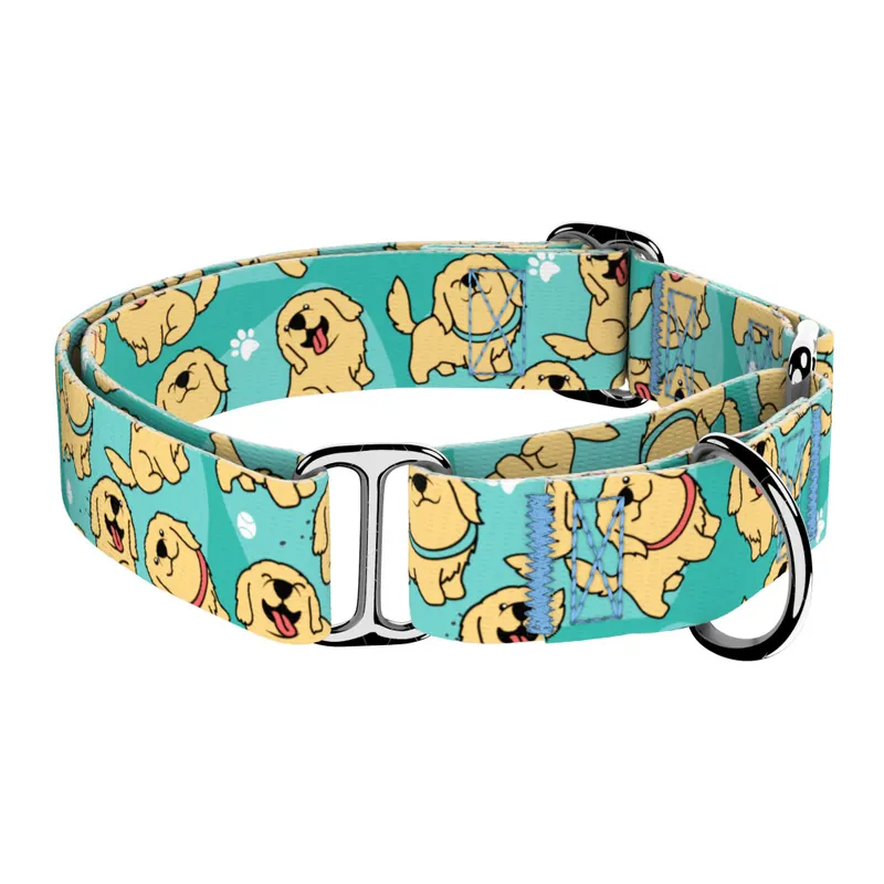 Golden retriever, kék - Kutya Félfojtó Nyakörv - april & june Akciós ár
