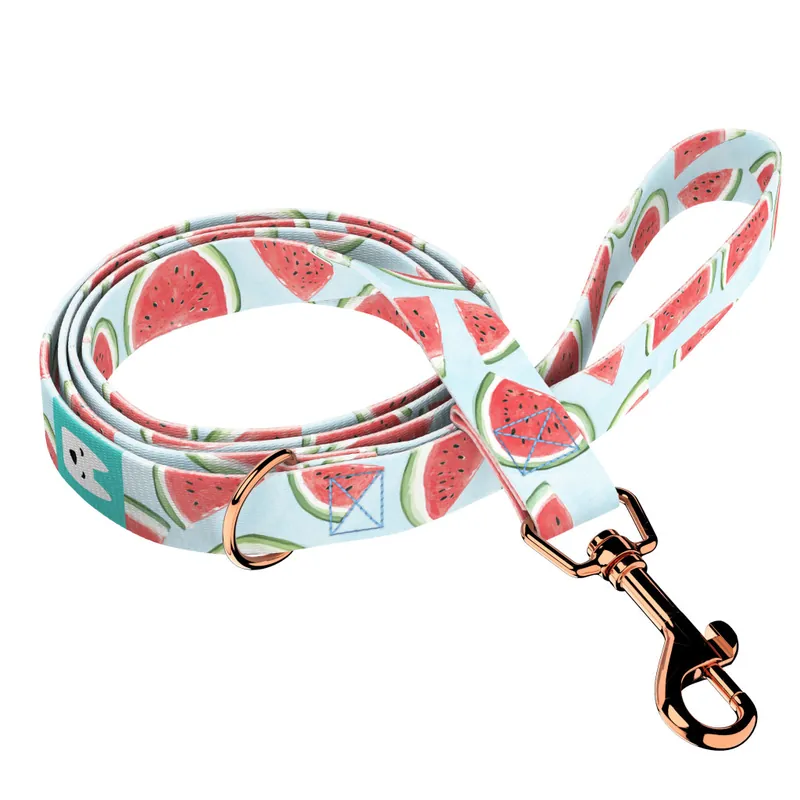 Dinnye - Kutya Póráz - Watermelon - april & june Végkiárusítás