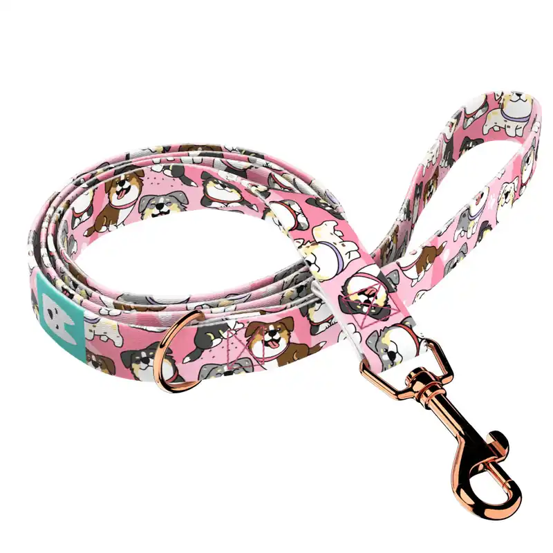 Ausztrál juhász, rózsaszín - Kutya Póráz - Ausztrál juhász, pink - april & june Utolsó esély