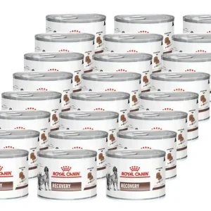 ROYAL CANIN Recovery 24x195g Utolsó esély