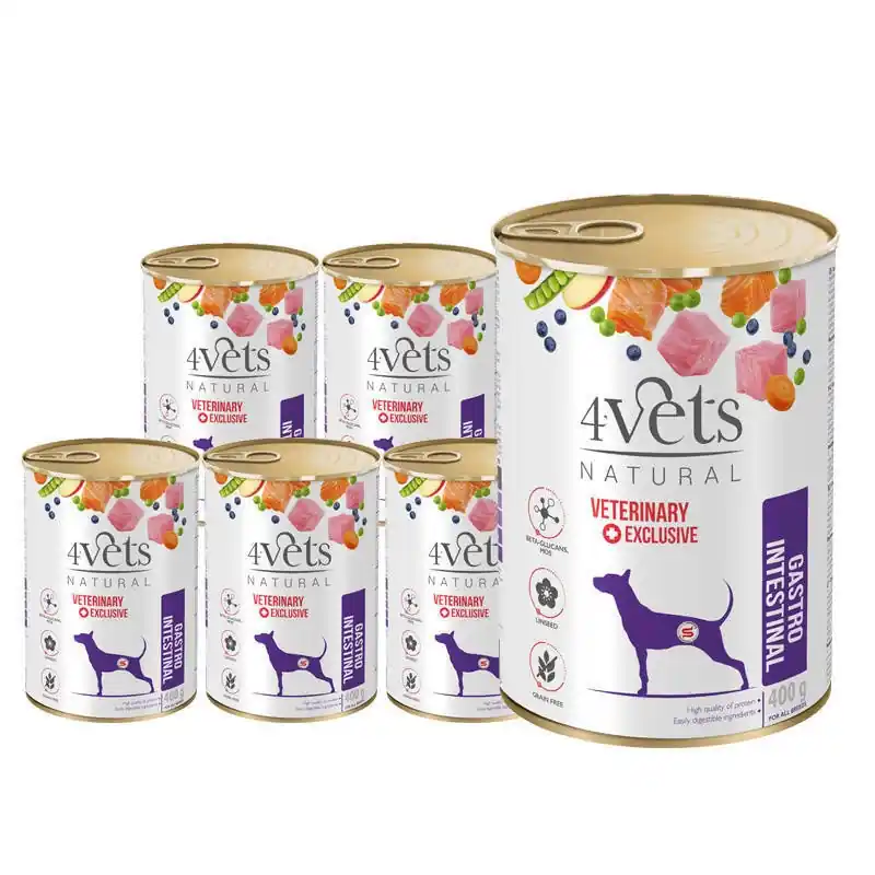 Gyors szállítás 4Vets kutyáknak Gastro Intestinal 6x400g