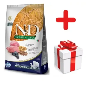 Farmina N&D Adult Medium & Maxi Lamb & Blueberry 12kg + MEGLEPETÉS A KUTYÁDNAK Expressz kézbesítés