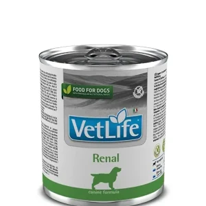 Gyors szállítás Farmina Vet Life Canine Renal 300 g