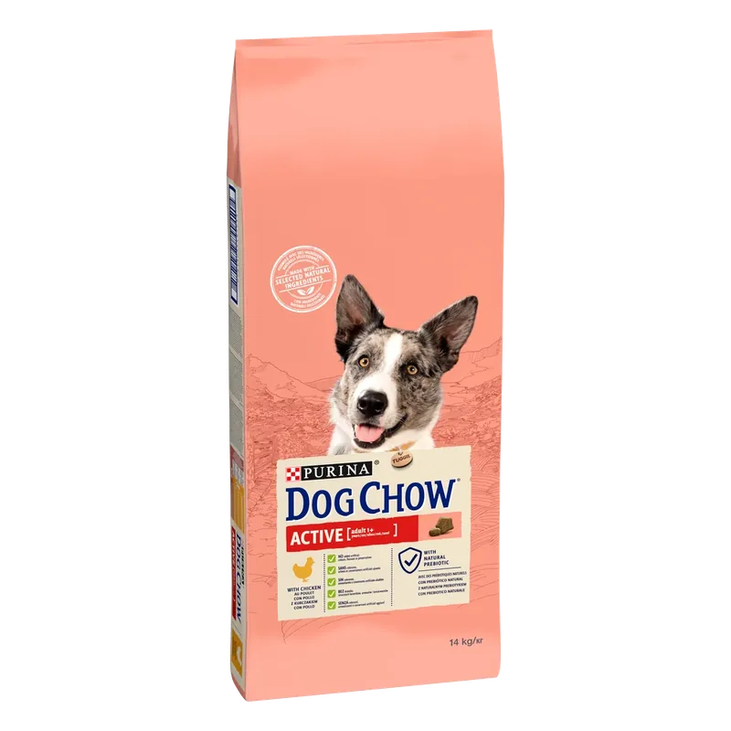 Expressz szállítás Purina Dog Chow Active Adult csirkével 14 kg
