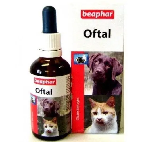 Legnépszerűbb BEAPHAR szemcsepp 50 ml