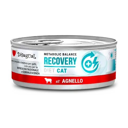Biztonságos fizetés Disugual Nedves macskaeledel Állatorvosi RECOVERY Bárány (felnőtt) 85 g