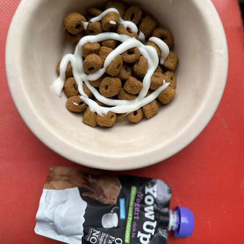 YowUp! Prebiotics joghurt kutyáknak 115g Expressz kézbesítés
