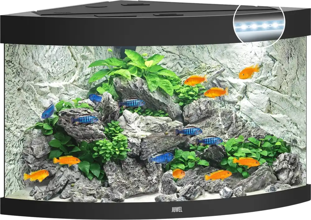 Szuper akció Juwel Trigon 190 LED akvárium, Fehér