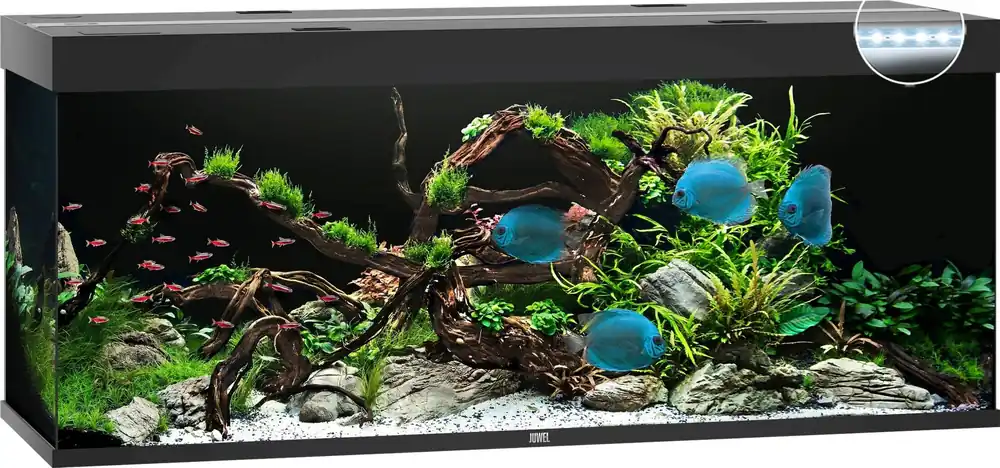 Vedd meg most Juwel Rio 450 LED akvárium, Fekete