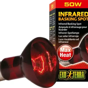 Vedd meg online Exo Terra Heat GL Infravörös spotlámpa, R30/150 W