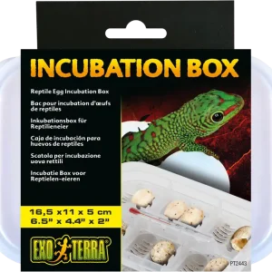 Alacsony ár Exo Terra Incubation Box