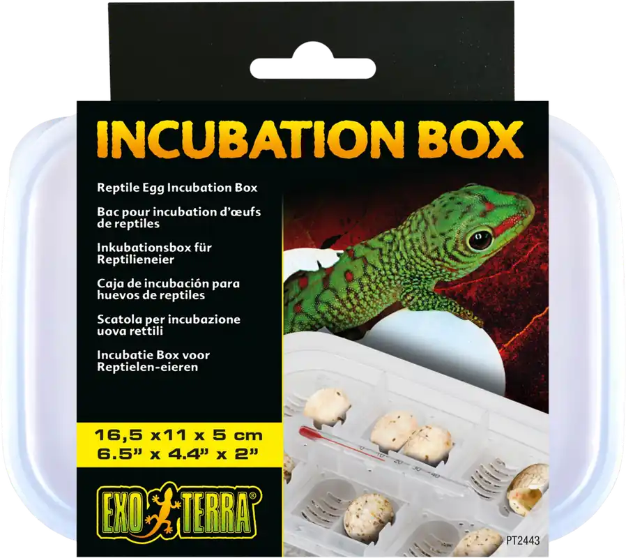 Alacsony ár Exo Terra Incubation Box