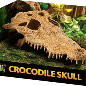 Exo Terra Krokodil fej Olcsóbb