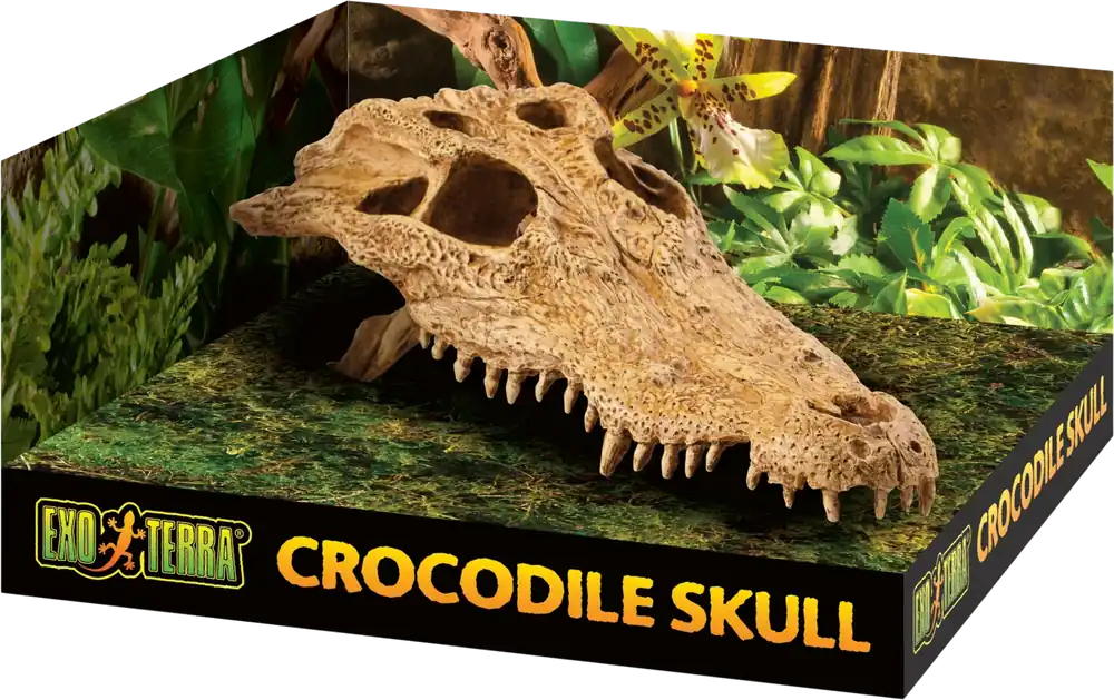 Exo Terra Krokodil fej Olcsóbb