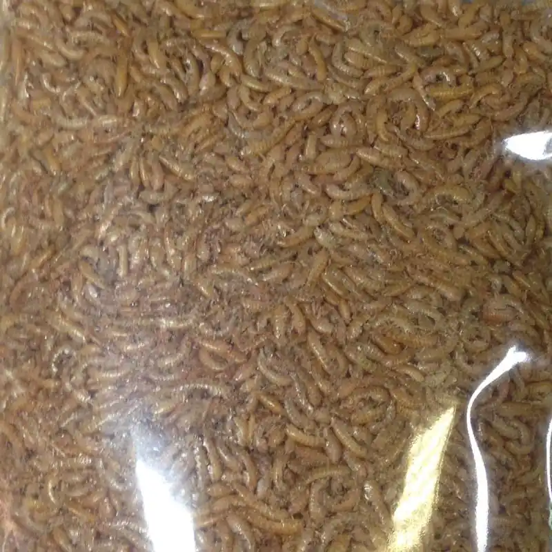 Vedd meg most Bio-Lio gammarus 120 ml