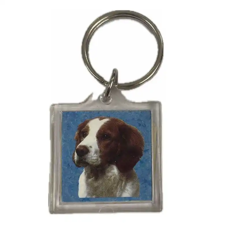 Welsh springer spániel képes kulcstartó Csak ma
