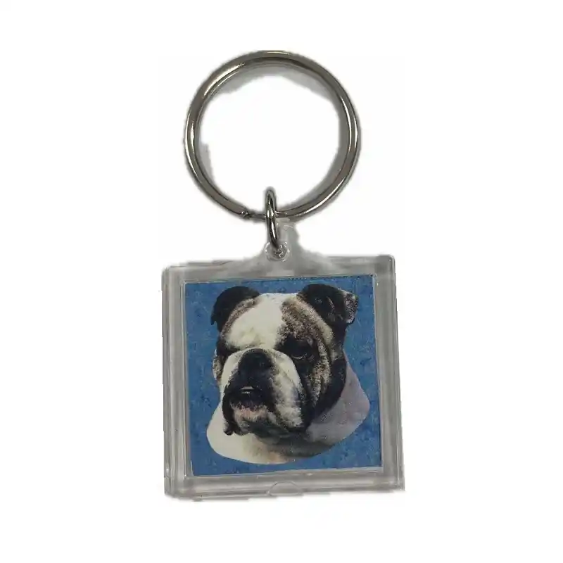 Angol bulldog képes kulcstartó Újdonság