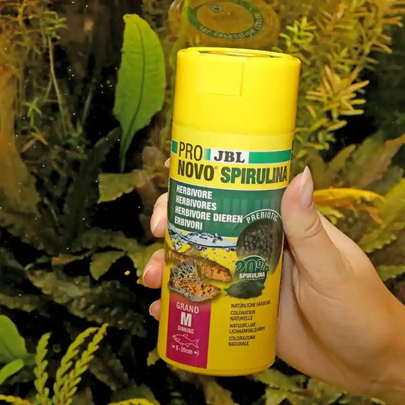 Újdonság JBL Pronovo Spirulina Grano M 250 ml granulált haltáp