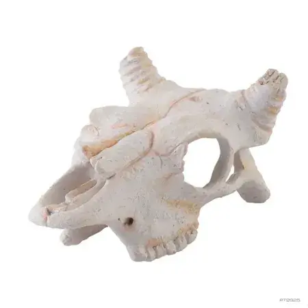 Ajánlat Hagen Exo Terra Buffalo Skull Small - bölény koponya formájú búvóhely terráriumba (7,6x11,8x5 cm)